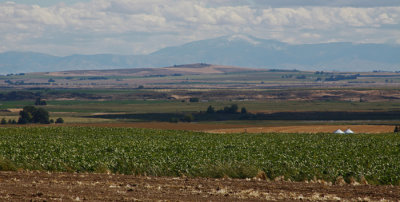 PLAINS OF IDAHO: SNOW ON THE MOUNTAIN