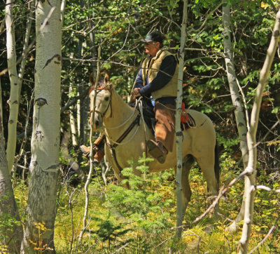 LONE RIDER ON THE TRAIL