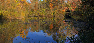 NATURE REALM: CVNP