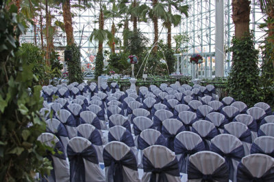 ROWS AND ROWS: NAVY PIER