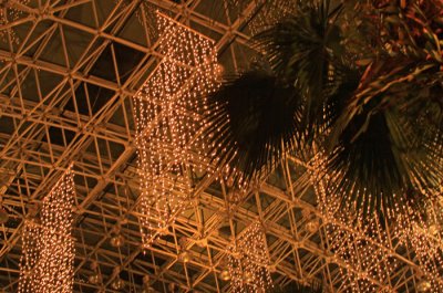 DECORATIVE LIGHTS: NAVY PIER