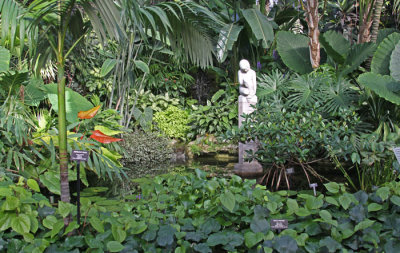 SMALL POND: LINCOLN PARK CONSERVATORY