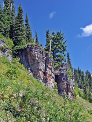 BIG MOUNTAIN: VIEW ON TRAIL