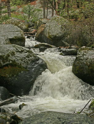 MOUNTAIN STREAM