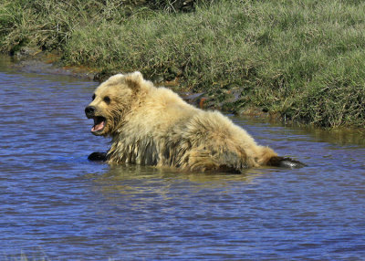 COOLING OFF