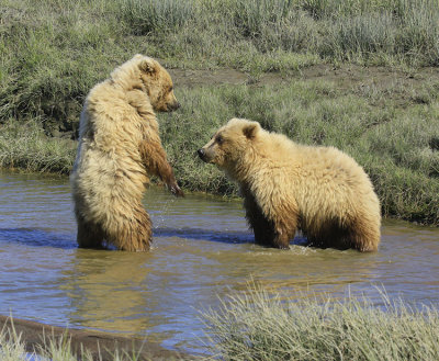 PLAY TOGETHER....