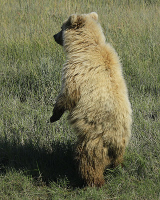 CHECKING OUT THE SURROUNDINGS