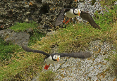FLYING AWAY!!