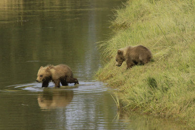 PLAYING IN THE STREAM