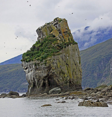 A PART OF 'DUCK ISLAND'