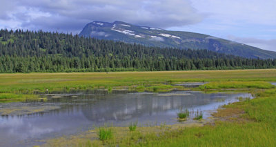 SCENIC VIEW