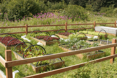 LOCAL GARDEN
