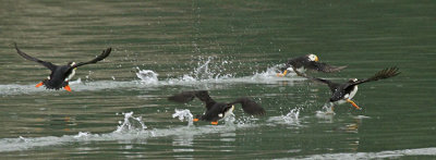 TAKING OFF...