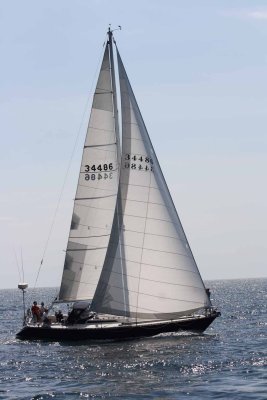 Sail away