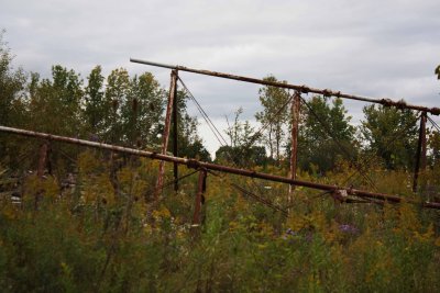 OLD  RUSTED  in FALL