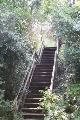 STAIRS TO WHERE.jpg