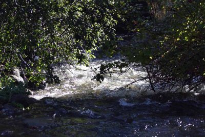 BABBLING STREAM004.jpg