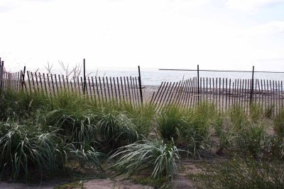 WIND SWEPT BEACH033.jpg