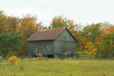 Old Barn with Fall Colours