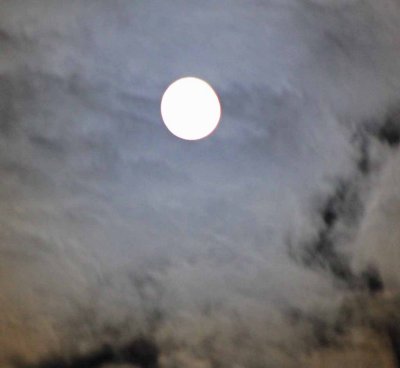 Harvest Moon