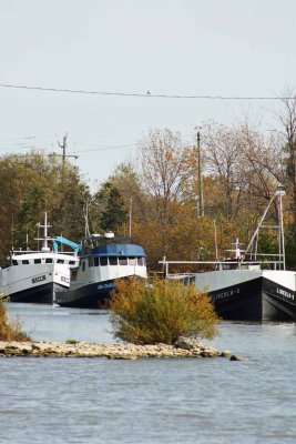 port maitland new fleet