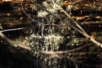 swazye falls up close
