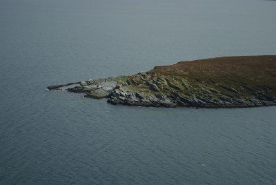 68.jpg