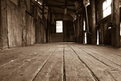 Shearing shed 2