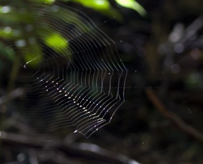 g1/78/932378/3/128548062.R2XRR83f.jpg