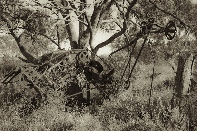 Agriculture - sepia