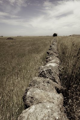 Dry-stone wall, Western Victoria