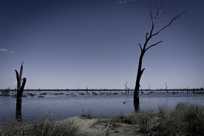 Kow Swamp, Victoria i
