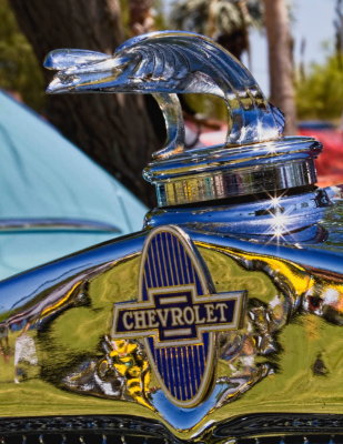 g1/78/932678/3/125824784.dBvxDN2J.jpg