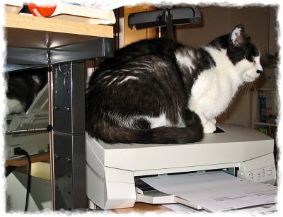 at the office