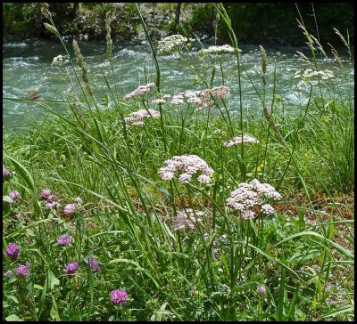 Bad Gastein