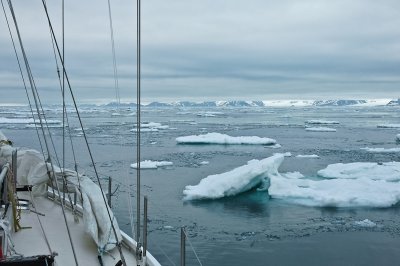 Ice Field West of Svalbard