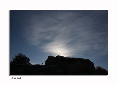 g1/79/10979/3/130832779.uwSM5uME.jpg