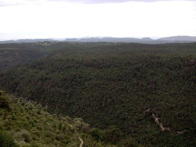 P1010015.jpg