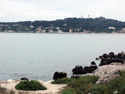 P1010194.jpg