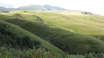IMG_0081.jpg