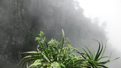 IMG_0099.jpg