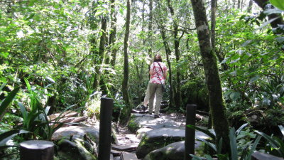 IMG_0103.jpg