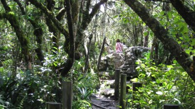 IMG_0105.jpg