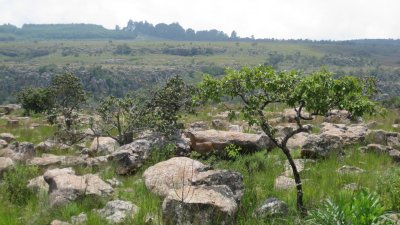 IMG_0107.jpg