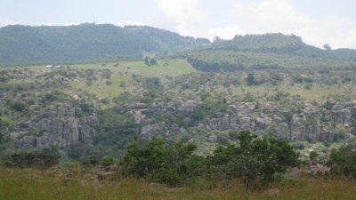 IMG_0112.jpg