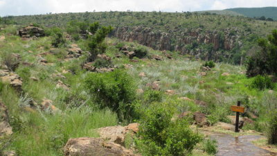 IMG_0114.jpg