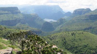 IMG_0128.jpg