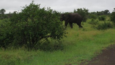 IMG_0237.jpg