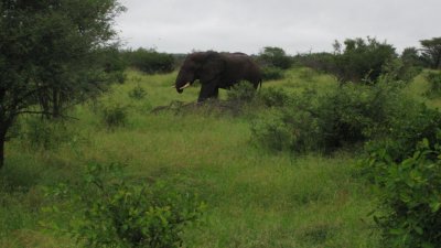 IMG_0238.jpg