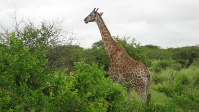 IMG_0246.jpg